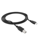 MoArmouz - USB 3.1 Type-C to USB-B (2.0) Cable