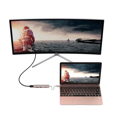 USB-C 4 in 1 Multiport HDMI Hub — Moarmouz